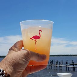 Flamingo Frost Flex Cups